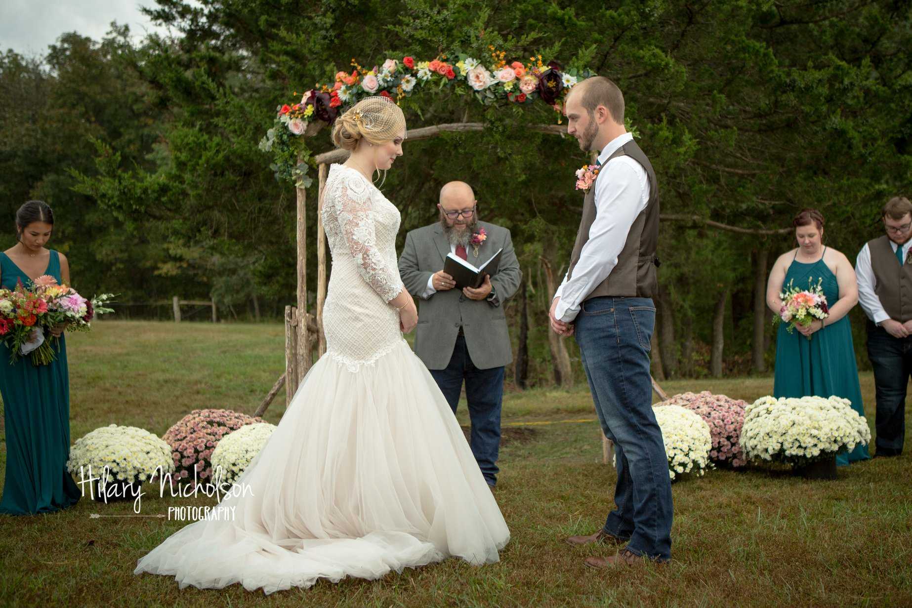 Clifford, a reddish-brown pitbull, posing on a couch and looking stoically at the camera